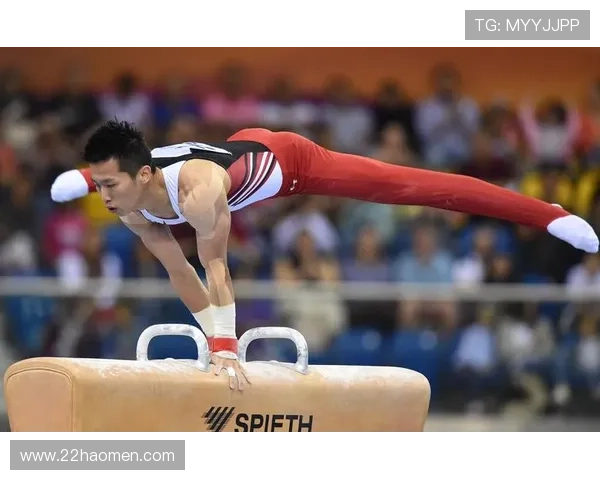 2026年鞍马比赛精彩回顾与选手表现分析